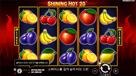 와일드 와일드 리치스